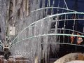 Fântâna arteziană din oraşul Piatra Neamţ a îngheţat 