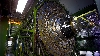 Acceleratorul de particule de la CERN reporneşte vineri