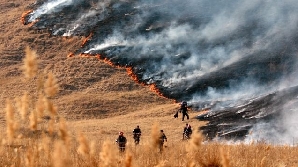 Incendiu de vegetaţie