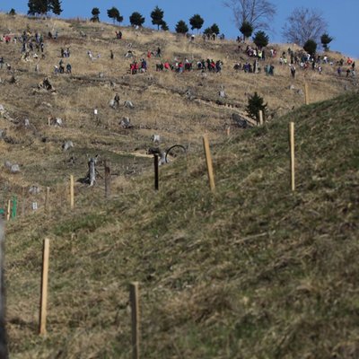 România prinde Rădăcini la Comăneşti, Bacău / Foto: Realitatea.NET