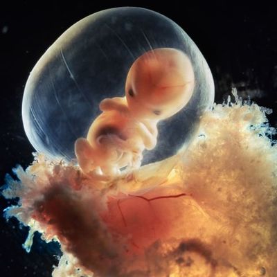 Foto: LENNART NILSSON