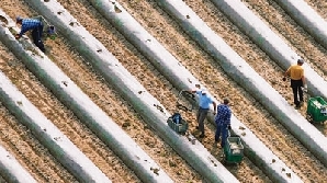 Marea Britanie pune taxe pe vizitele rudelor / Foto: gruprc.ro