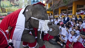 Moş Elefant