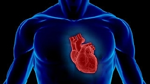 O chinezoiacă a supravieţuit dupa 30 de minute de stop cardiorespirator/Foto: scientificamerican.com