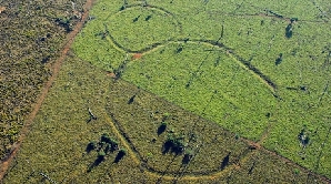 Forme bizare în bazinul Amazonian
