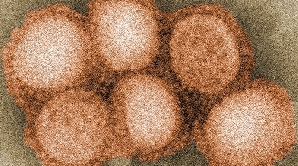 Tulpina virusului H1N1