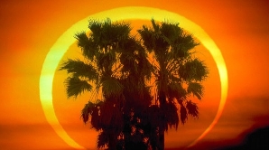 Fotografie a eclipsei anulare solare din 15 ianuarie 2010