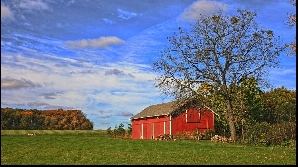 Bărbaţii europeni au lăsat acum 10.000 de ani agricultura din Egipt pentru cea din Bărăgan.