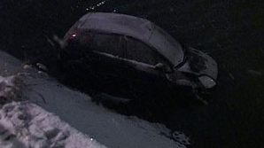 Autoturismul a rupt un gard de protecţie şi a ajuns în apă. / Foto: RTV