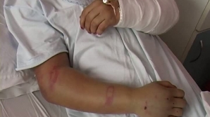O minoră a fost dusă în pădurea de la marginea Aradului, unde a fost violată şi bătută crunt/ FOTO: RTV