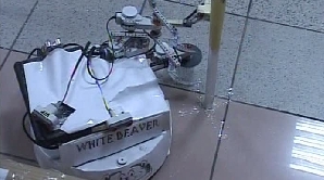 Robotţii au fost realizaţi de studenţi ai Universităţii Babeş-Bolyai