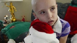 Foto: thecancerresearch.com