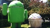 Google se pregăteşte să lanseze telefonul care traduce instantaneu convorbirea