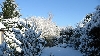 O femeie a fost ucisă de o avalanşă în Munţii Baiului