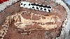 O nouă specie înspăimântătoare de dinozaur a fost descoperită în China - FOTO