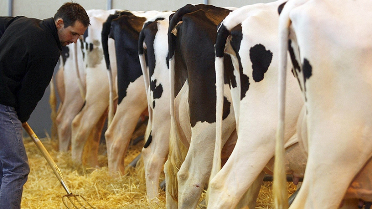 Guvernul IMPOZITEAZĂ veniturile obţinute din creşterea animalelor, silvicultură şi piscicultură Guvernul IMPOZITEAZĂ veniturile obţinute din creşterea animalelor, silvicultură şi piscicultură