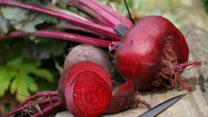 SFECLA, minunea roşie: previne cancerul si alte boli grave SFECLA, minunea roşie: previne cancerul si alte boli grave