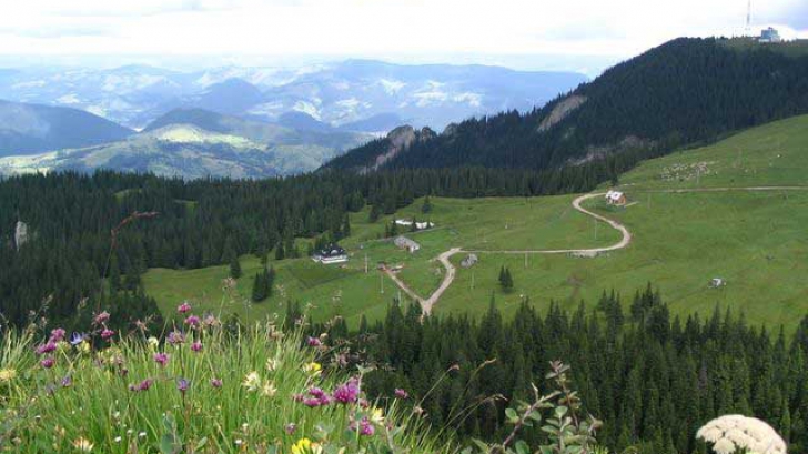 Flutur: Bucovina trebuie să fie viitoare regiune Flutur: Bucovina trebuie să fie viitoare regiune