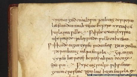 Uimire in medicina: un leac medieval cu usturoi, vin si bila de vita a vindecat o boala teribila