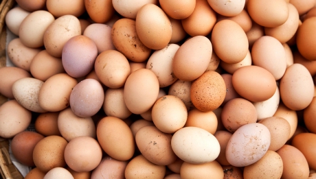 Cum afli daca ouale au expirat