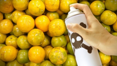 Sapte alimente care provoaca inflamatii grave in organism