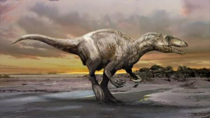 O specie necunoscută de dinozaur carnivor a fost descoperită în Argentina