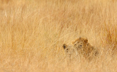Foto: Carl Fourie/EPA
