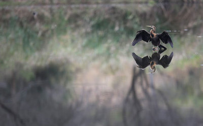 Foto: Halden Krog/EPA
