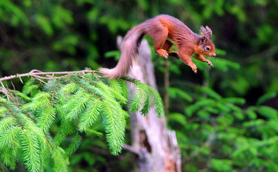 Foto: Owen Humphreys/PA