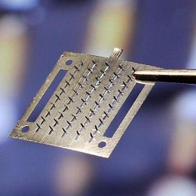 Foto: lastingimpressions.com

dailymail.co.uk