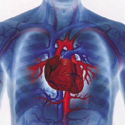Foto: heartdiseaseway.info