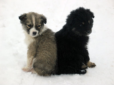 Dumitru Prunariu are întotdeauna aparatul cu el şi este pregătit şi pentru instantanee dar şi pentru poze studiate