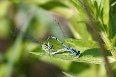 Dumitru Prunariu are întotdeauna aparatul cu el şi este pregătit şi pentru instantanee dar şi pentru poze studiate