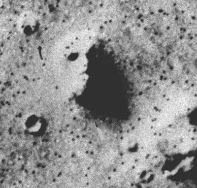 FOTO: nextnature.net