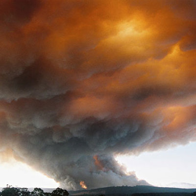 Foto: telegraph.co.uk