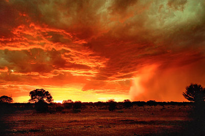 Foto: telegraph.co.uk