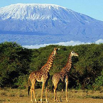 Foto: telegraph.co.uk