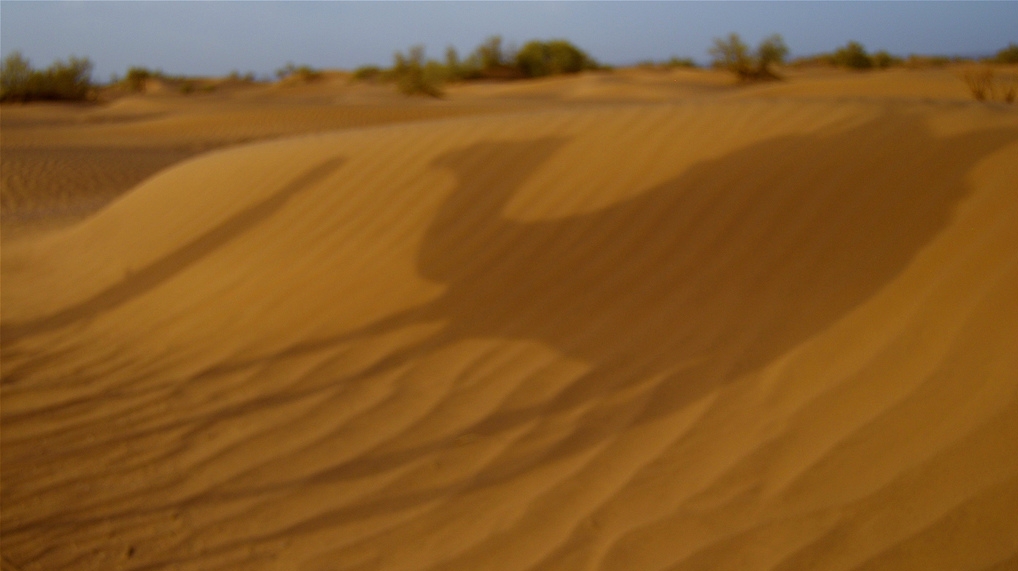 Deşertul Sahara va fi gazda unui altfel de Big Brother