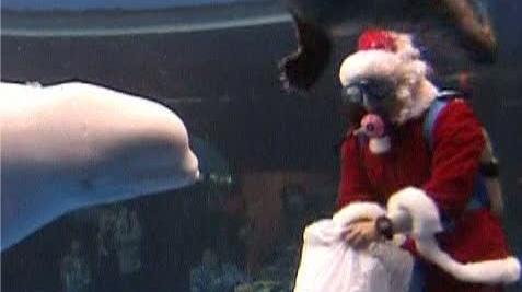 Balena şi Moş Crăciun
