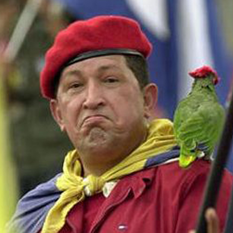 Foto: http://law.rightpundits.com/wp-content/photos/hugo_chavez_parrot.jpg