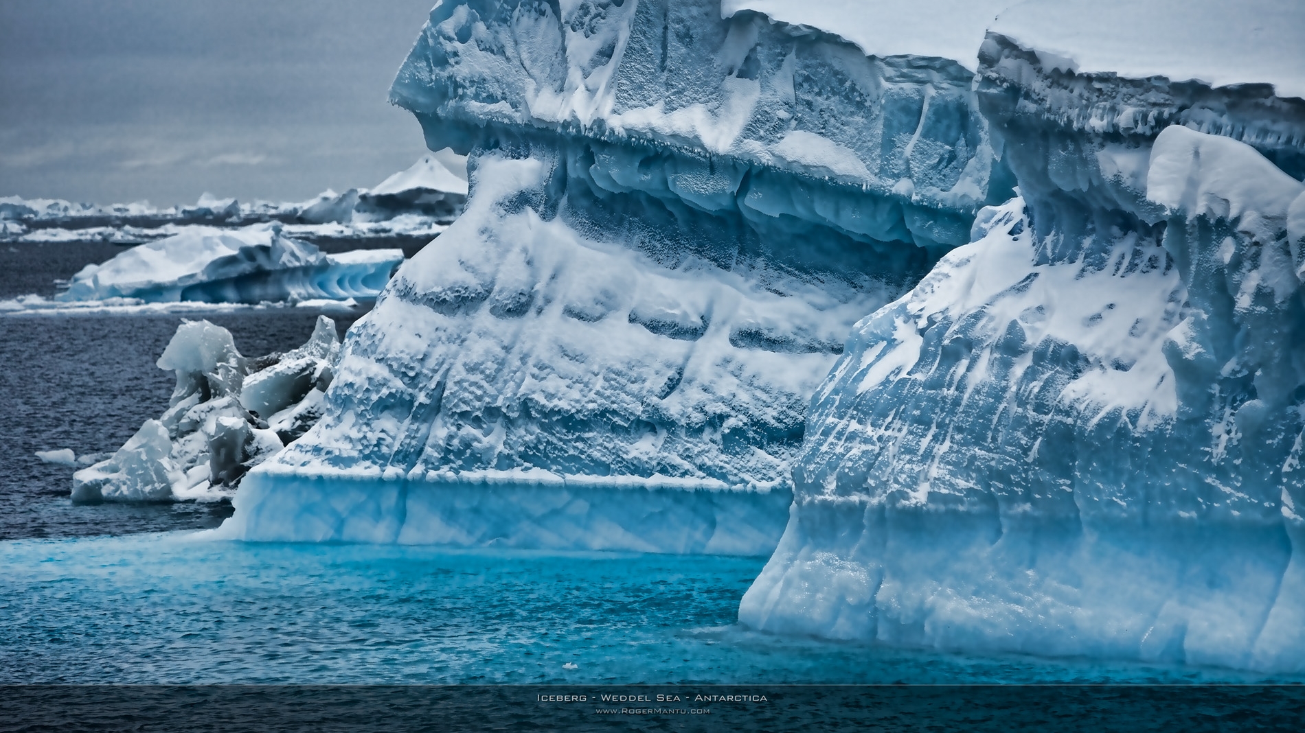 Antarctica - Roger Mantu