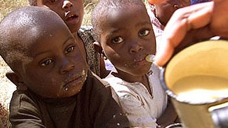 4.700 de cazuri de holeră numai în noiembrie