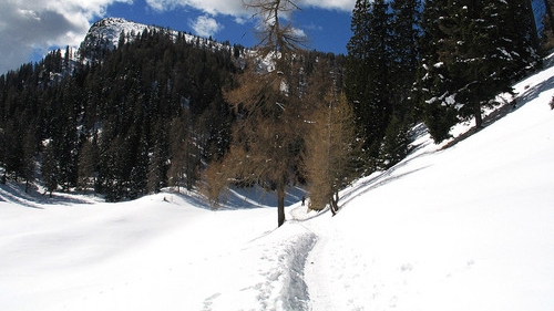 Şapte persoane au murit în avalanşe în Alpii italieni / FOTO: summitpost.org