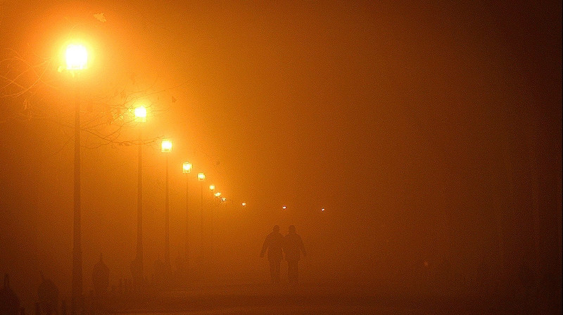 Ceaţa îngreunează traficul rutier în Tulcea