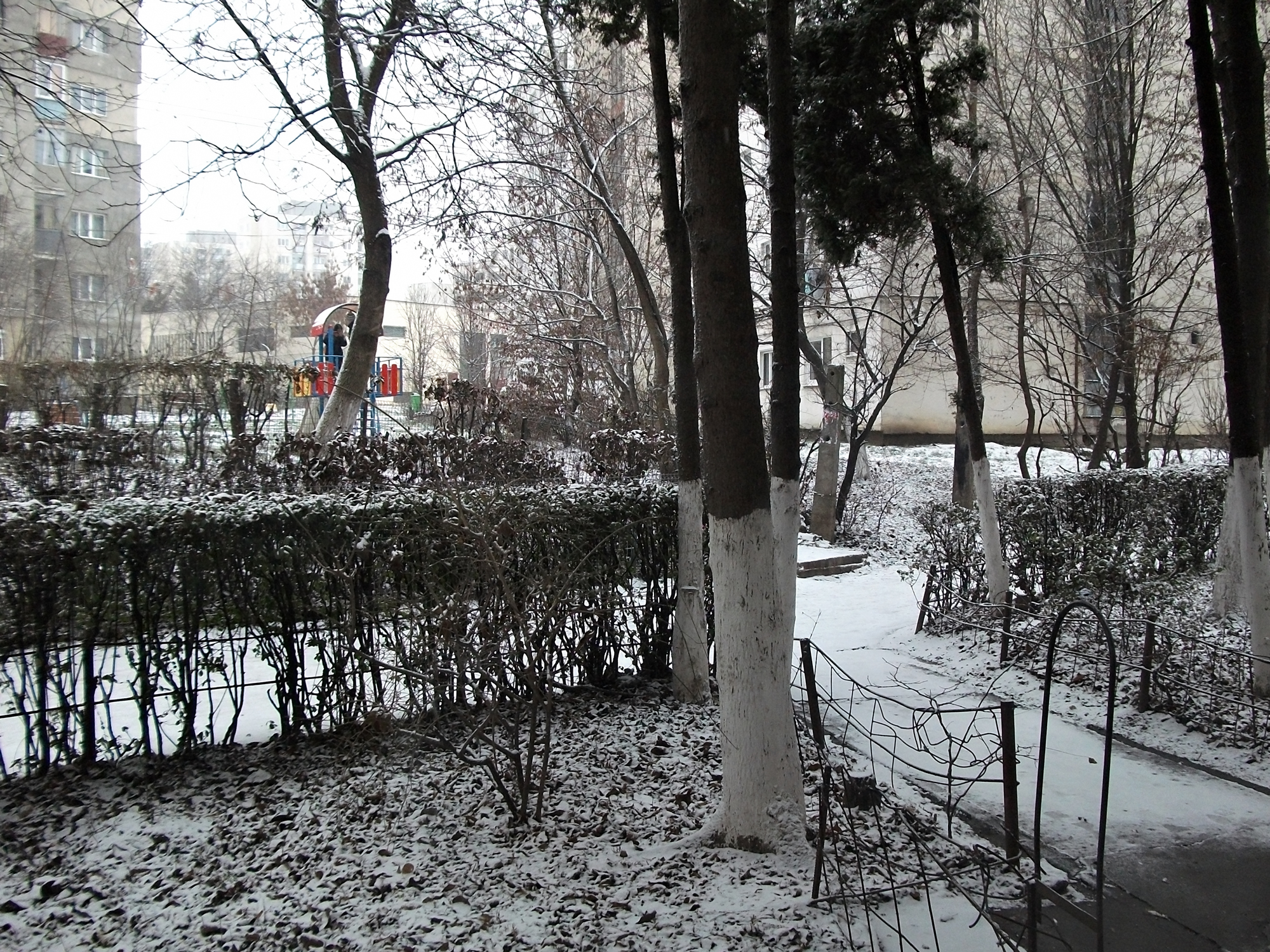 Prima ninsoare din Cluj-Napoca