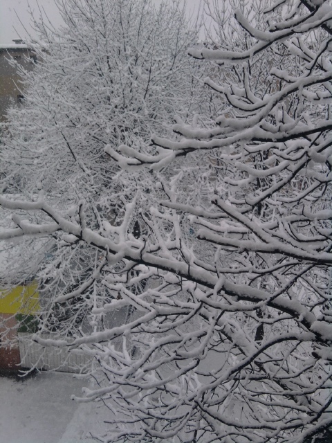 Iarna în Paşcani  