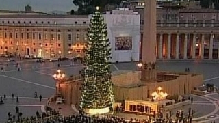Bradul de Crăciun de la Vatican
