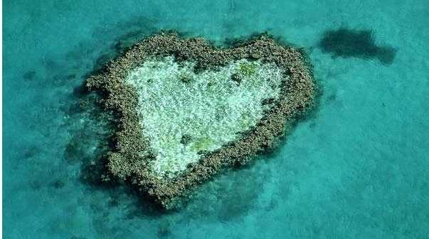Marea Barieră de Corali, Australia / FOTO: SPECIALIST STOCK / BARCROFT MEDIA 