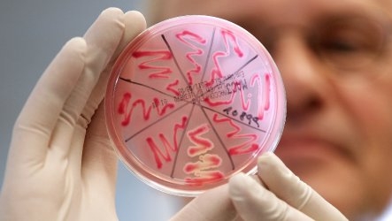 Atenţie! E.coli, descoperită în APA din mai multe localităţi din Argeş