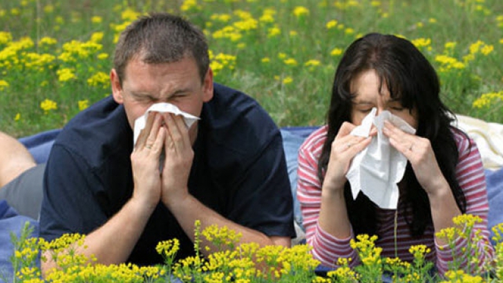 Schimbările climatice aduc un "tsunami de polen" pentru cei de suferă de alergii